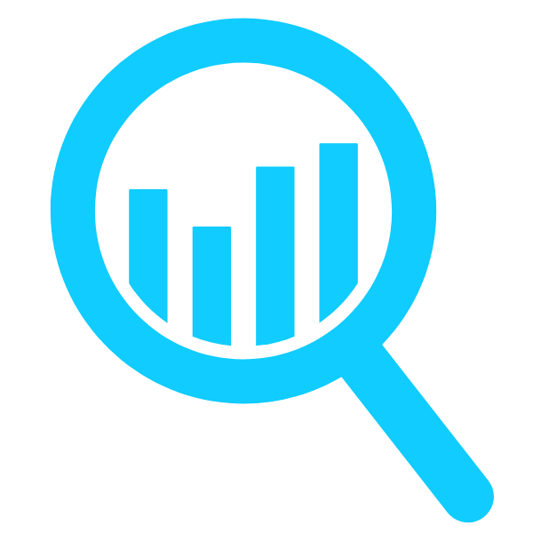 Bespoke data software Icon